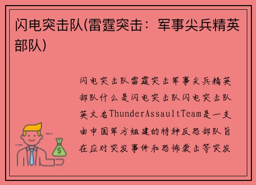 闪电突击队(雷霆突击：军事尖兵精英部队)